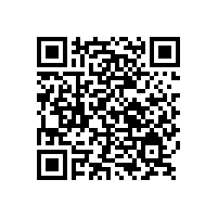 山東銀箭鋁銀漿仿電鍍系列鋁銀漿你了解多少?