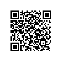 山東銀箭，塑膠漆應用的創新者