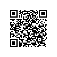 適時發展銀箭鋁銀漿水性產品前景廣闊