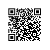 雙十一銷售額更加堅定了銀箭鋁銀漿網絡銷售的信心