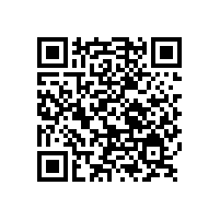 市委領導視察銀箭鋁銀漿安全生產