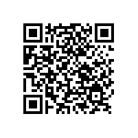 水性聚酯在汽車涂料配套體系中的應用現狀