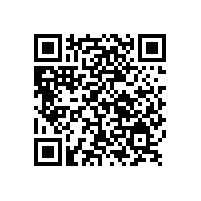 使用銀箭鋁銀漿請注意調試好配方保證涂料流平性