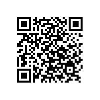 探索銀箭鋁銀漿：科技之美，閃耀未來(lái)