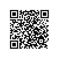 “它”銀箭鋁銀漿相信你家肯定會有一兩件