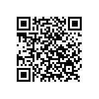 想試樣定做銀箭鋁銀漿的客戶盡管來吧！大廠家歡迎您！