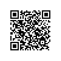 想要汽車(chē)修補(bǔ)漆效果好，選擇這種銀箭鋁銀漿就夠了