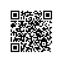 銀粉漆涂裝中的掉銀現象