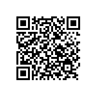 嚴寒暴雪天氣擋不住客商們訂購銀箭鋁銀漿的熱情