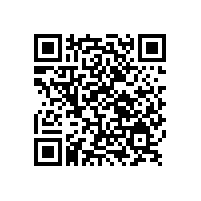 銀箭的鋁銀漿產品和服務讓人滿意