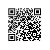 銀箭的夢想 我的夢想