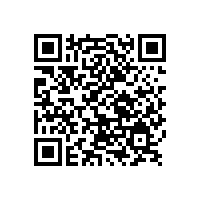 銀箭非浮型鋁銀漿簡單介紹，感興趣的趕緊來咨詢吧！