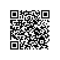 銀箭高檔塑膠漆用鋁銀漿獲得新客戶好評