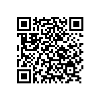 銀箭環保型水性鋁銀漿，涂料發展的需要