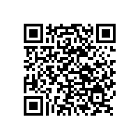 銀箭加氣塊用鋁粉膏——小應(yīng)用大舞臺(tái)