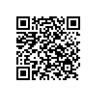銀箭金屬顏料看國內涂料原材料價格暴漲背后的深層意義