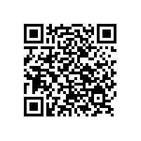 銀箭鋁粉、水性鋁粉漿——行業標準化優秀制定者