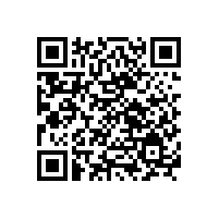 銀箭鋁銀漿：船舶涂料領域的美學革新者