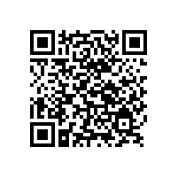 銀箭鋁銀漿大客戶阿克蘇諾貝爾2016開年收購業務成熱點