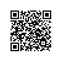 銀箭鋁銀漿：打造防鍍鉻效果的優質之選