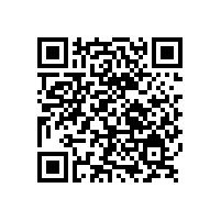 銀箭鋁銀漿：高性能顏料引領行業創新風潮