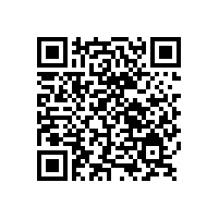 銀箭鋁銀漿會被取代嗎？