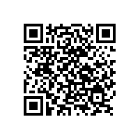 銀箭鋁銀漿合作伙伴-阿克蘇諾貝爾