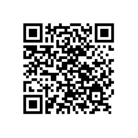 銀箭鋁銀漿教您溶劑選擇與存儲(chǔ)小知識(shí)