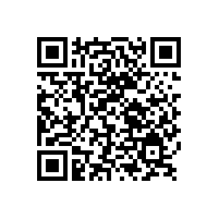 銀箭鋁銀漿可以