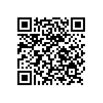 銀箭鋁銀漿,免噴涂鋁銀漿，效果杠杠的