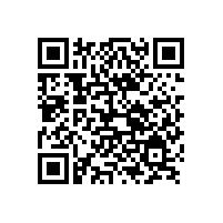 銀箭鋁銀漿全面進入越南市場