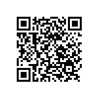 銀箭鋁銀漿淺談涂料的分散介質