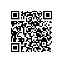銀箭鋁銀漿-山東涂料行業名門之秀