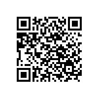 銀箭鋁銀漿：涂料領(lǐng)域的“金屬衛(wèi)士”
