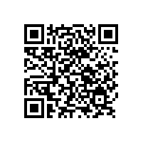 銀箭鋁銀漿：引領行業革新，展現璀璨光彩