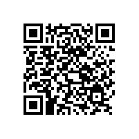 銀箭鋁銀漿：油墨領域的璀璨明星