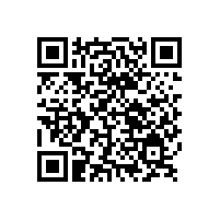 銀箭鋁銀漿與您同慶海軍建軍70周年