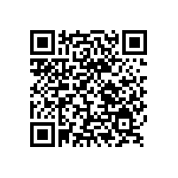 銀箭鋁銀漿應用涂料之配方設計要點