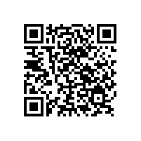 銀箭鋁銀漿駐地村委中秋禮品大派送啦！