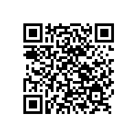 銀箭鋁銀漿祝廣大女性朋友節日快樂