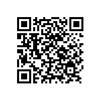 銀箭鋁銀漿在汽車漆抗剪切能力方面的研究