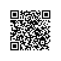 銀箭鋁銀漿在汽車漆用塑膠漆中的應用