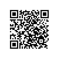 銀箭漂浮型鋁銀漿簡介