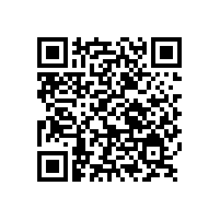 銀箭汽車(chē)漆鋁銀漿的專(zhuān)用性