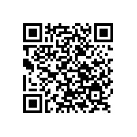 銀箭汽車漆用鋁銀漿助力電動汽車涂料技術進步