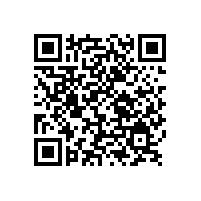 銀箭汽車修補漆用鋁銀漿服務您的所到之處