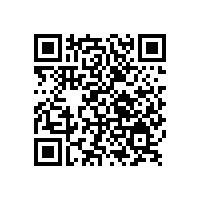 銀箭全新汽車修補漆用鋁銀漿大降價了，你知道嗎？