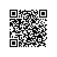 銀箭塑膠漆用鋁銀漿參與環保塑料涂料發展