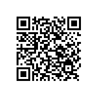 銀箭特細4um仿電鍍鋁銀漿