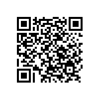 業內規模的銀箭鋁銀漿開啟二次創業,仍需銷售先行